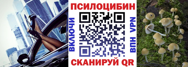 Галлюциногенные грибы MAGIC MUSHROOMS  Купить где  Бугульма 
