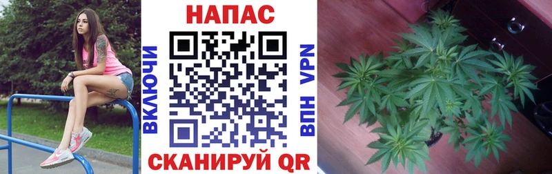 Марихуана OG Kush  Купить закладки  Бугульма 